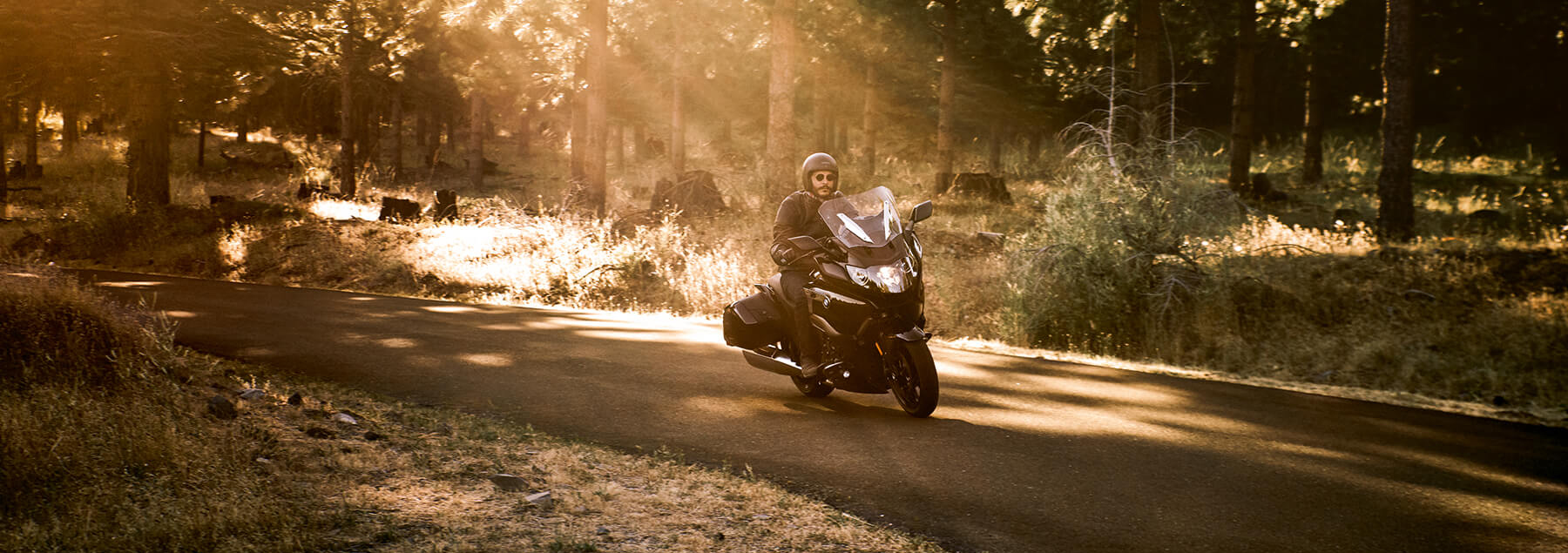 Exploring the Redwoods