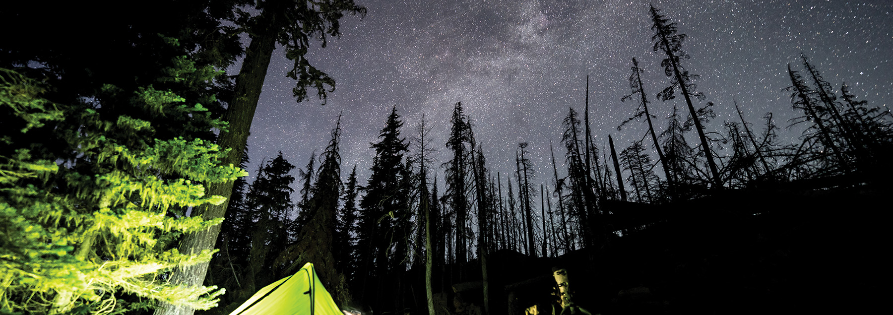 A starry sky in Northern California.